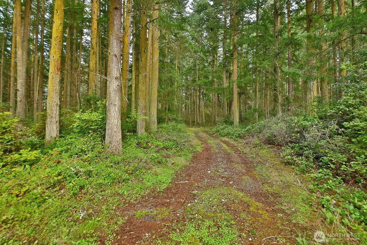 0 Mutiny Bay Road, Freeland, WA 98249 - #1