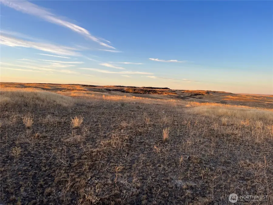 45 Eagle Springs Ranch #45, Wilson Creek, WA 98860 - #3