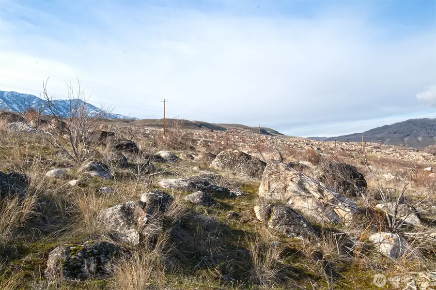0 Lot 5 Lazy Lightning Long Plat, Pateros, WA 98846 - #2