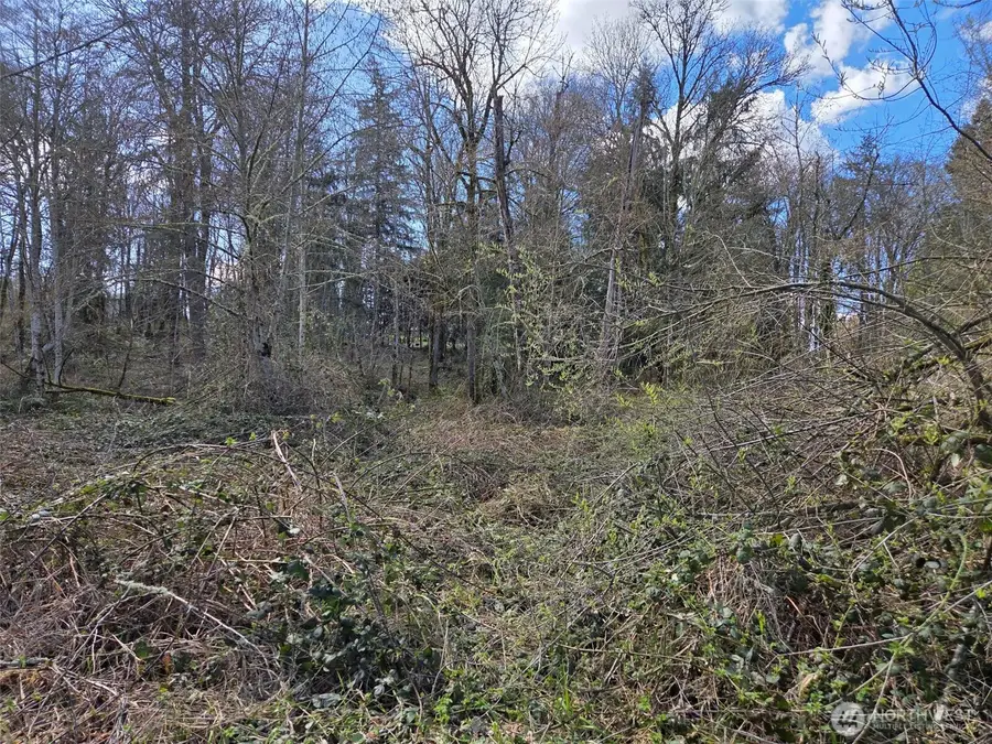 18599 SE 136th Street, Renton, WA 98059 - #2