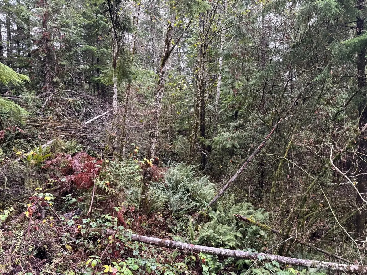 896 N Lake Cushman Drive #27, Hoodsport, WA 98548 - #1