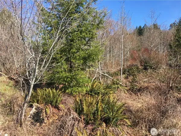 0 Summit Lake Road Nw #13818330000 & 13819220000, Olympia, WA 98502