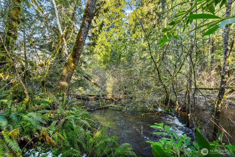 0 Libby Road Ne, Olympia, WA 98506 - #3