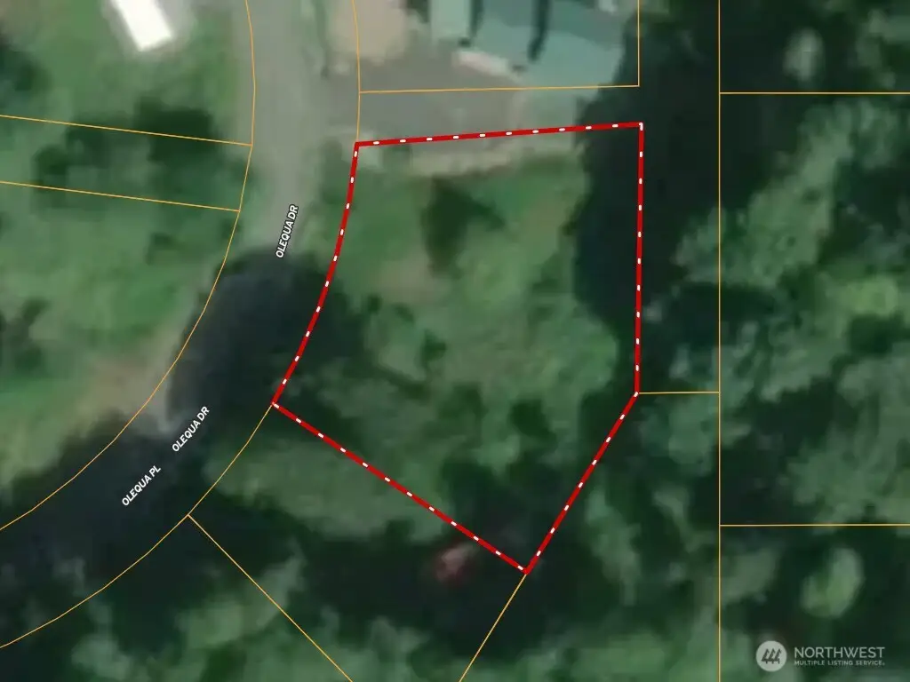 177 Olequa Drive #24, Vader, WA 98593 - #1