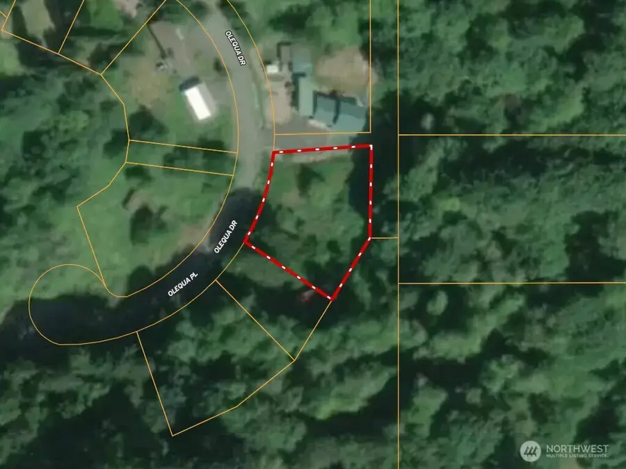 177 Olequa Drive #24, Vader, WA 98593 - #3