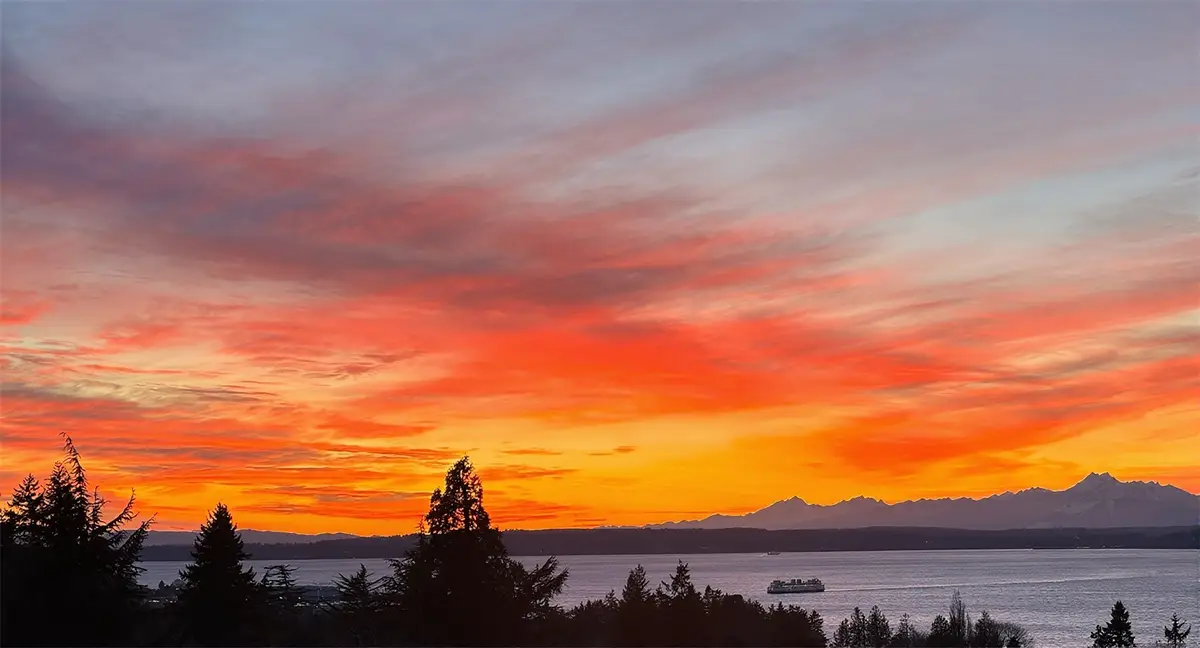 19125 94th Avenue W, Edmonds, WA 98020 - #1