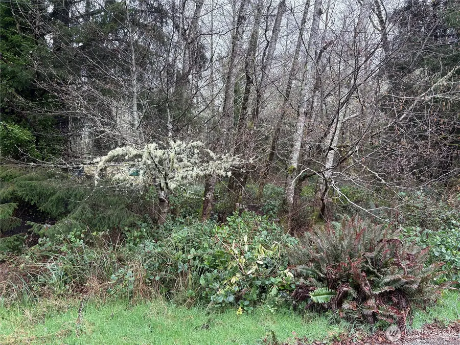 303 Stackpole Lane #Tax Lot 53-57, Ocean Park, WA 98640 - #2