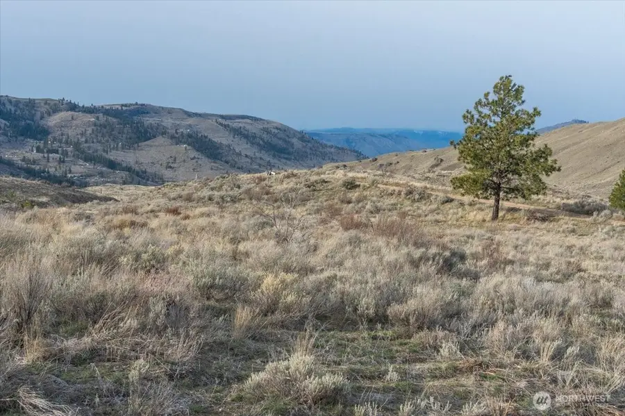 0 Parcel B - 13 Honeygold Drive, Orondo, WA 98843 - #2