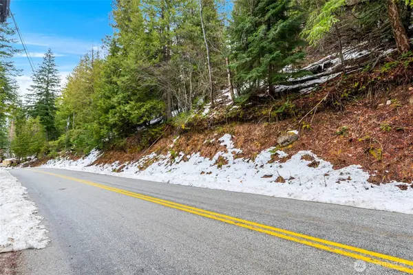 0 Cedar Brae Lot 87 #87, Lake Wenatchee, WA 98826