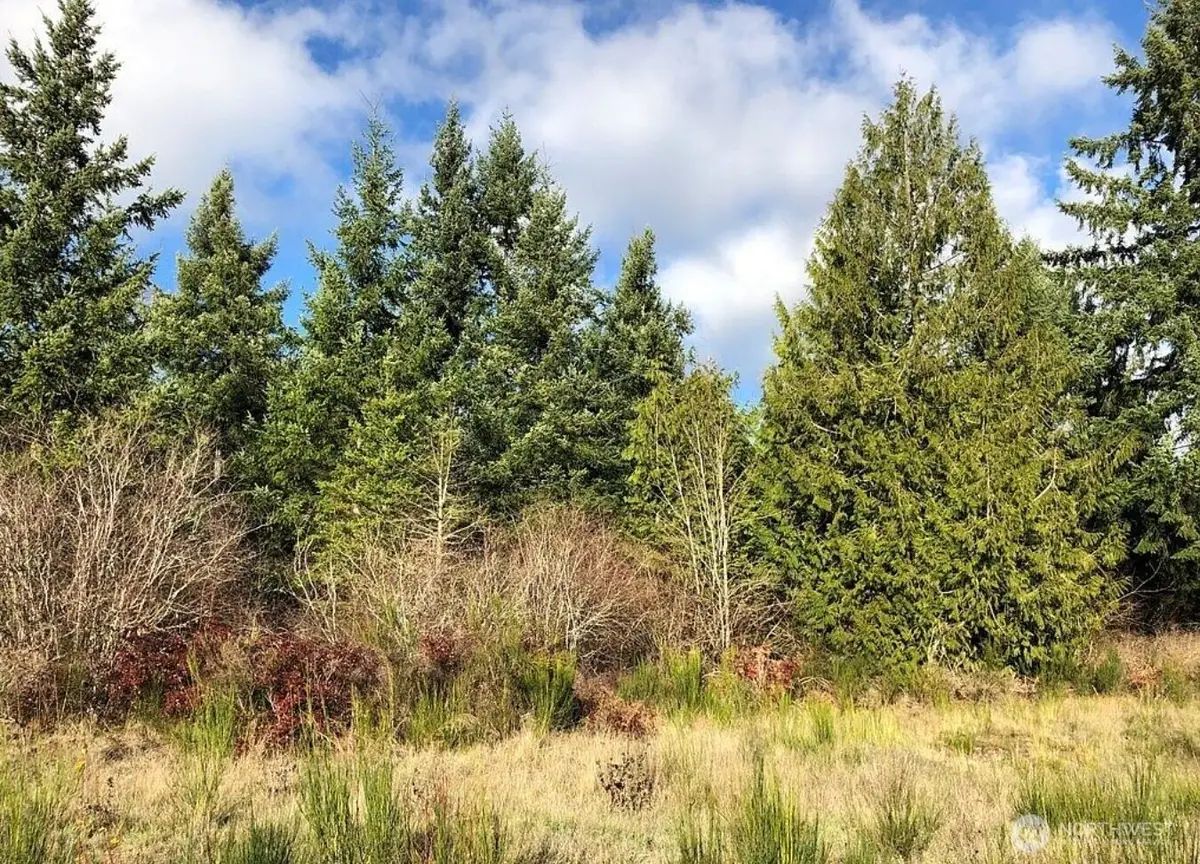 14623 Lindsay Loop Se, Yelm, WA 98597 - #1