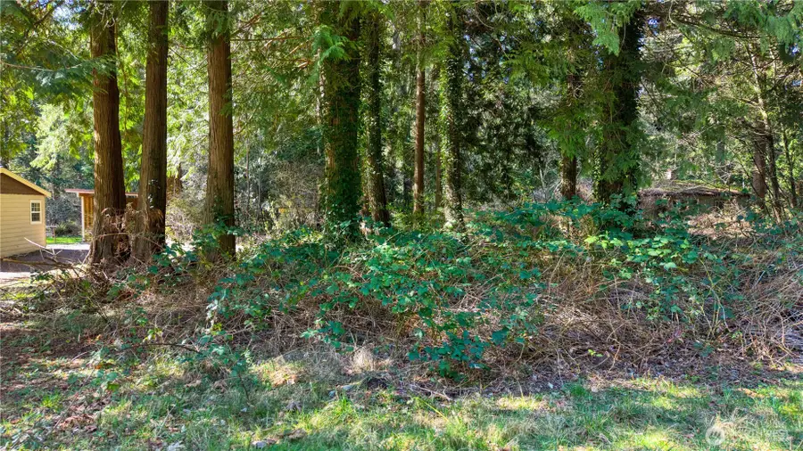 16 Burns Way #16, Point Roberts, WA 98281 - #2