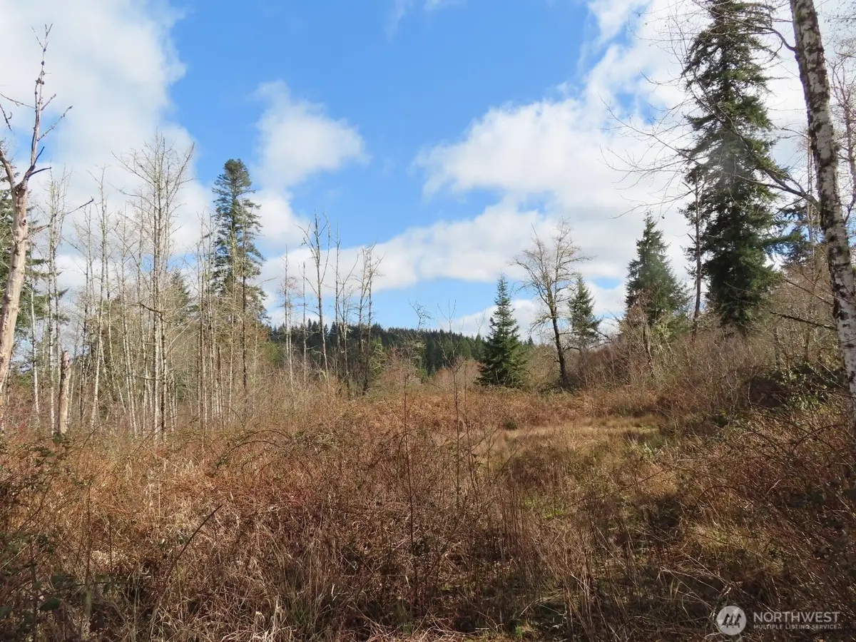 125 Oppelt Road, Chehalis, WA 98532 - #1