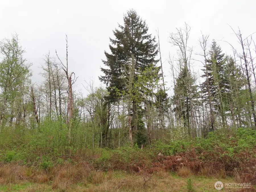 125 Oppelt Road, Chehalis, WA 98532 - #3