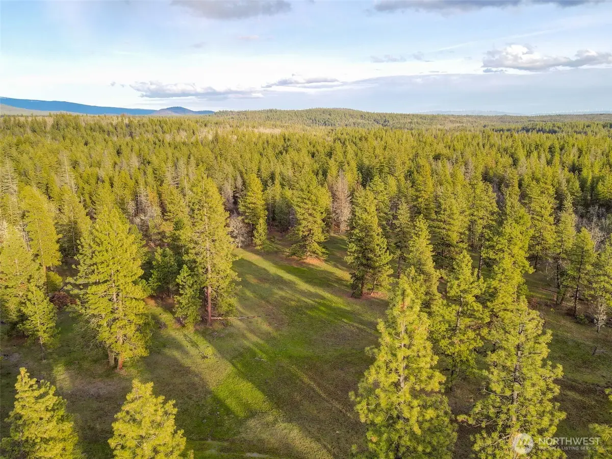 0 Greyback Mountain Road #8, Goldendale, WA 98620 - #1