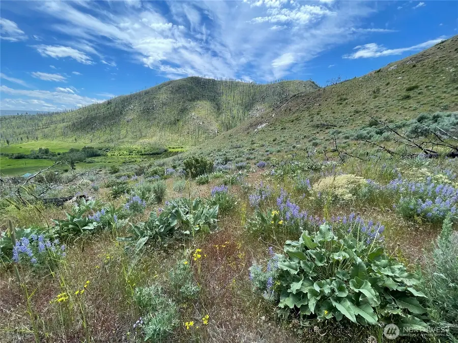 436 Antoine Creek Road, Chelan, WA 98816 - #2