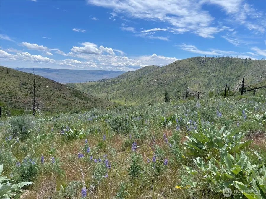 436 Antoine Creek Road #E, Chelan, WA 98816 - #2