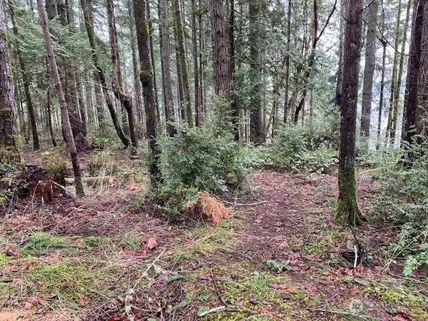 0 Bear Street, Shelton, WA 98584