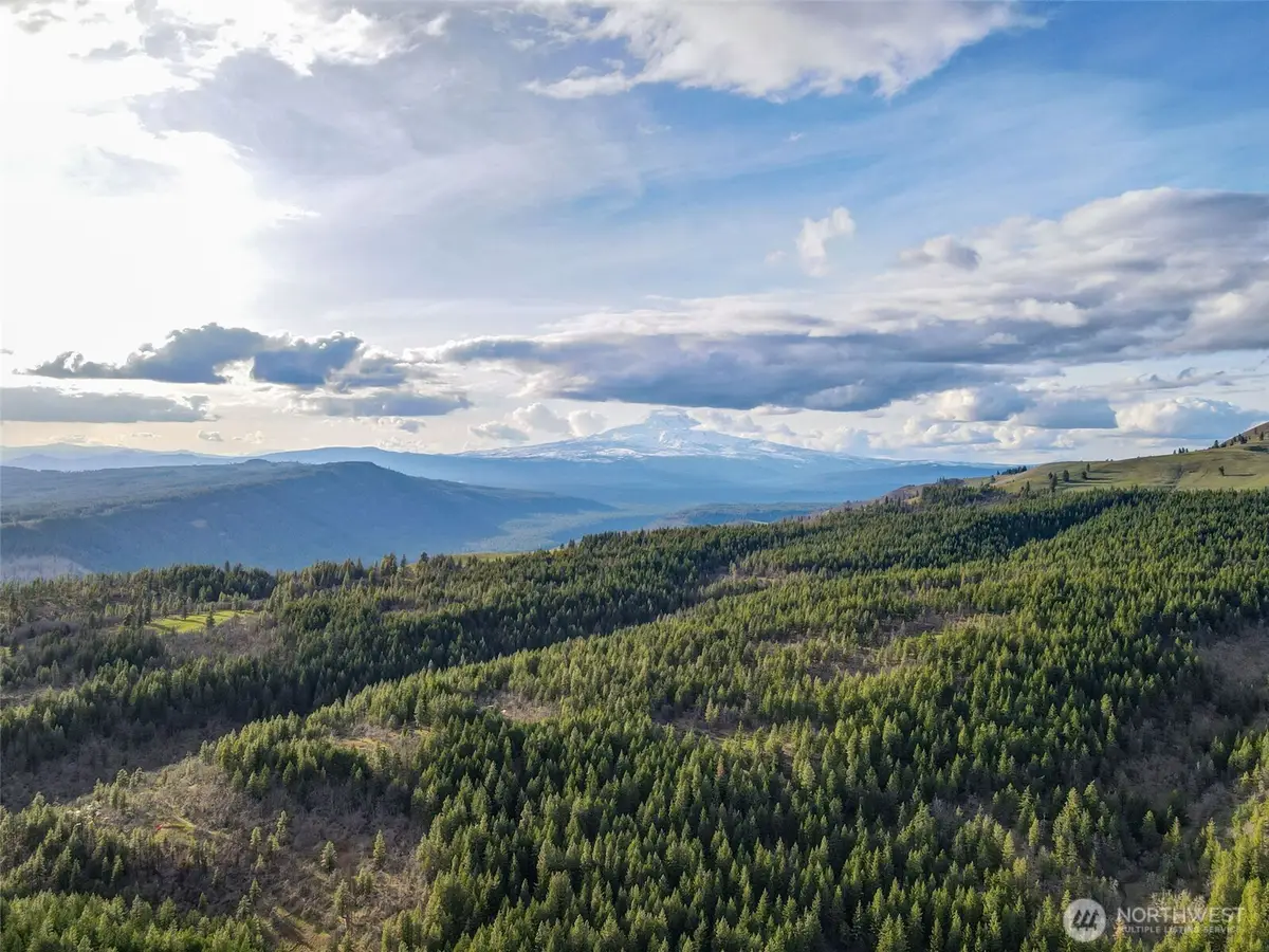 0 Greyback Mountain Road #7, Goldendale, WA 98620 - #1