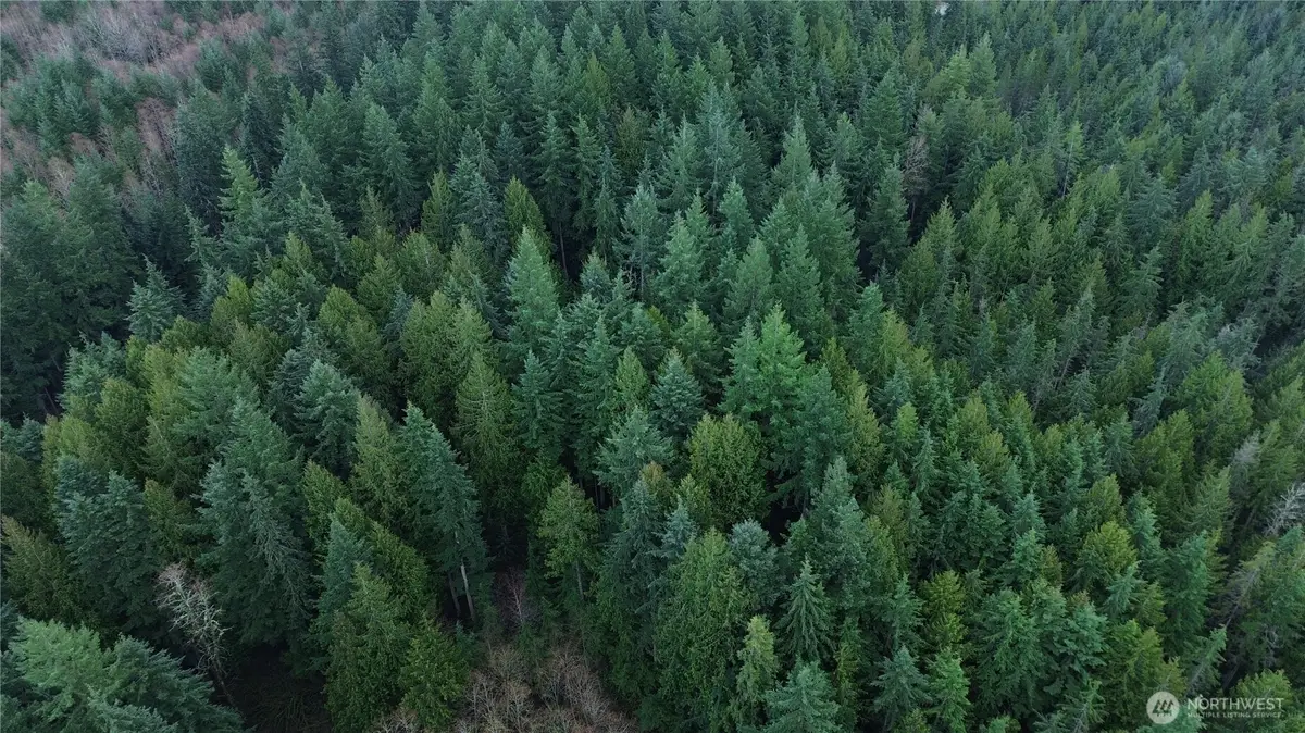 17425 Mcelroy Road, Arlington, WA 98223 - #1