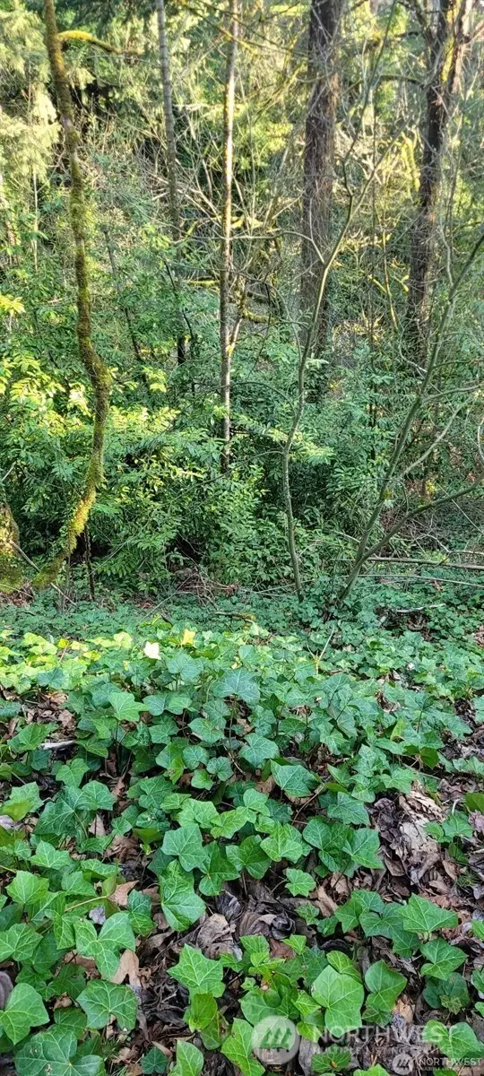 1317 Wildwood Boulevard Sw #10, Issaquah, WA 98027 - #2