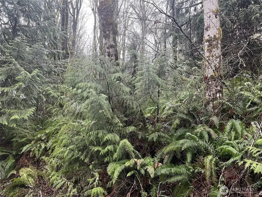 2601 Stonecrest Lane Nw #3, Olympia, WA 98502 - #2