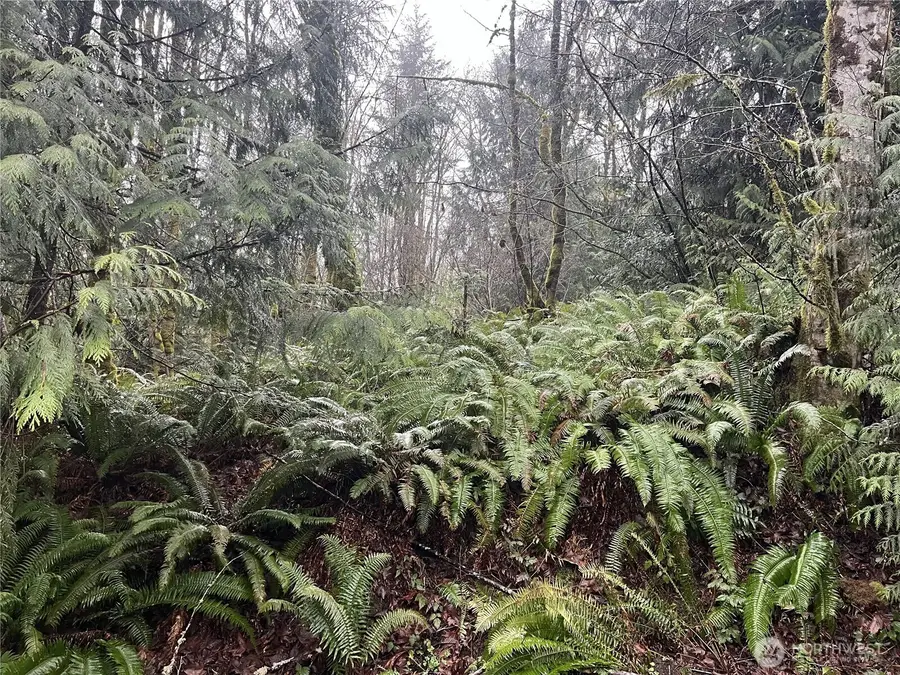 2601 Stonecrest Lane Nw #3, Olympia, WA 98502 - #3