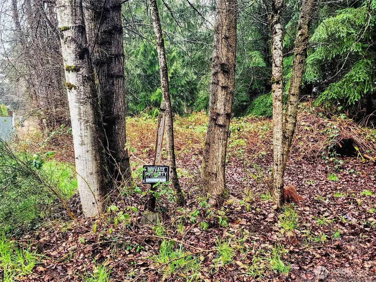 10115 226th Avenue Ct E, Buckley, WA 98321 - #1