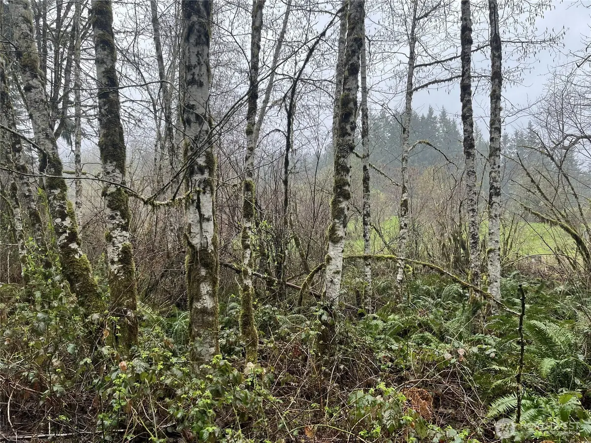 2625 Stonecrest Lane Nw, Olympia, WA 98502 - #1