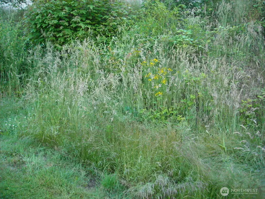 613 E 56th Street #8-15, Tacoma, WA 98404 - #1