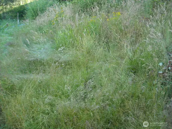 514 E 55th Street #1-7, Tacoma, WA 98404