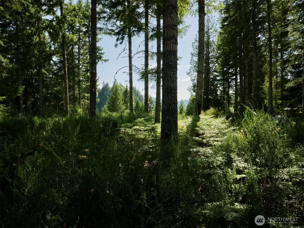 0 Phyllis Ann Block Court #2 & 3, Cougar, WA 98616 - #1