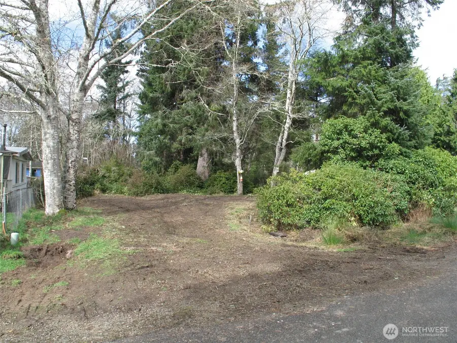 32317 Q Place #1, Ocean Park, WA 98640 - #2