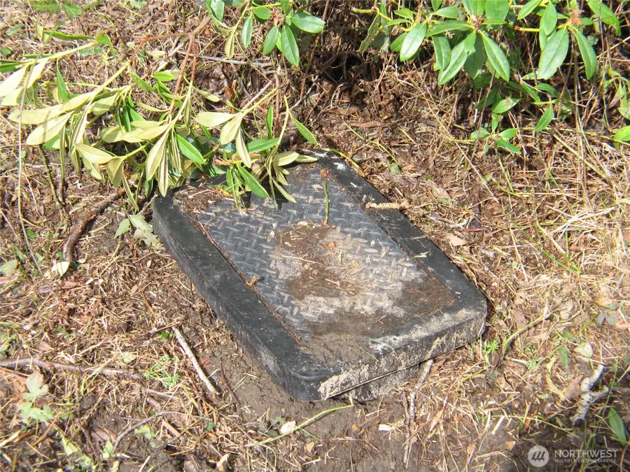 32317 Q Place #1, Ocean Park, WA 98640 - #3