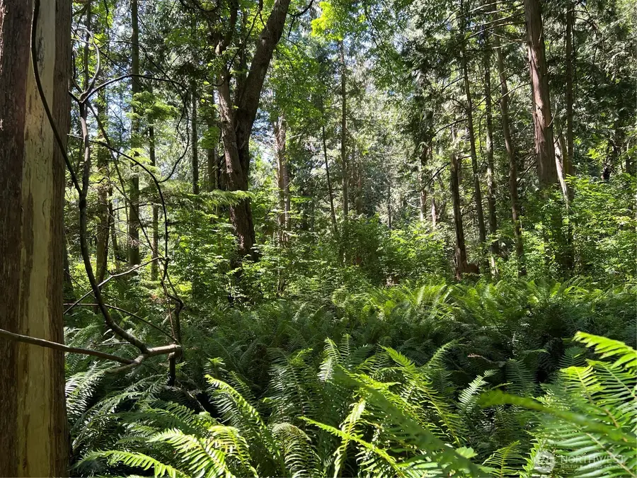 6 South Beach Road, Point Roberts, WA 98281 - #3