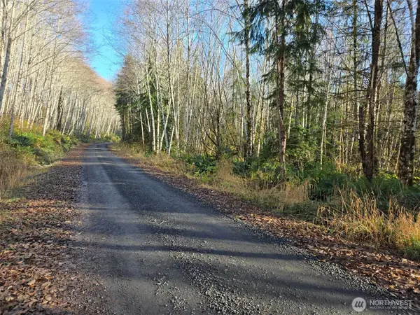 0 Fall River Road, Cosmopolis, WA 98537