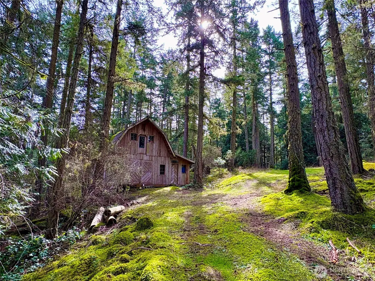 48 Copper Hill Lane, Shaw Island, WA 98286 - #1