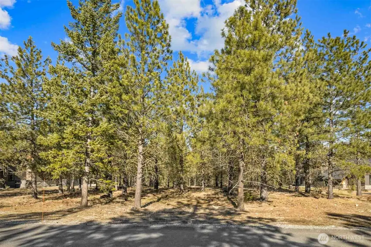 381 Gold Leaf Lane #28, Cle Elum, WA 98922 - #1