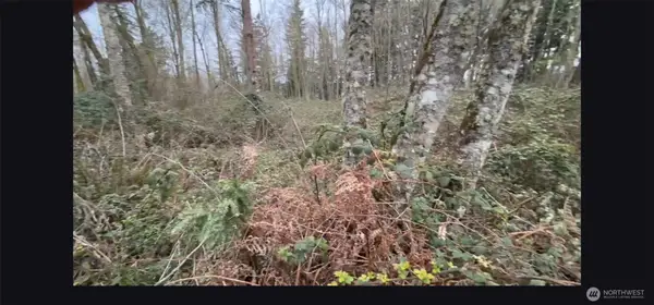 37116 E 103rd Avenue Ct, Eatonville, WA 98328