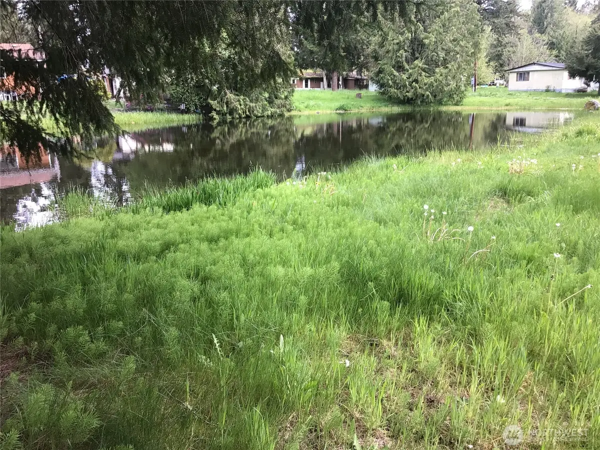 2708 341st Court S #29, Roy, WA 98580 - #1