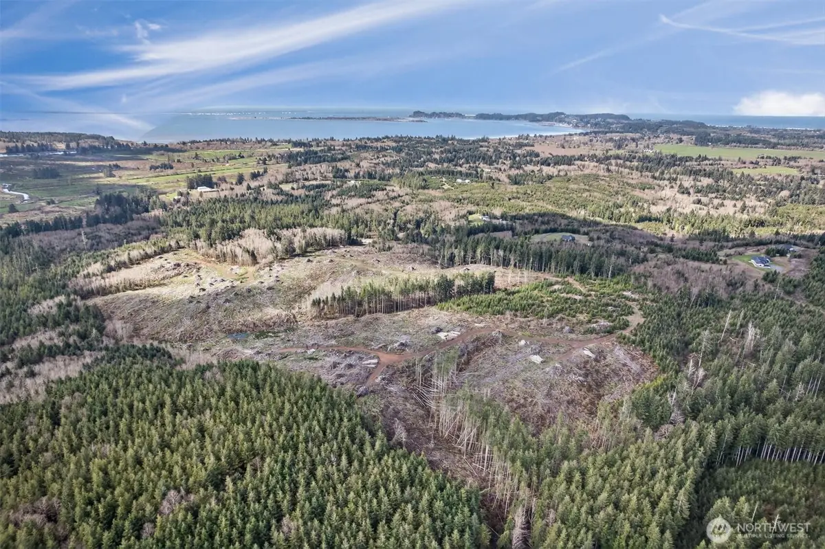 0 Luttrell Lane, Chinook, WA 98614 - #1