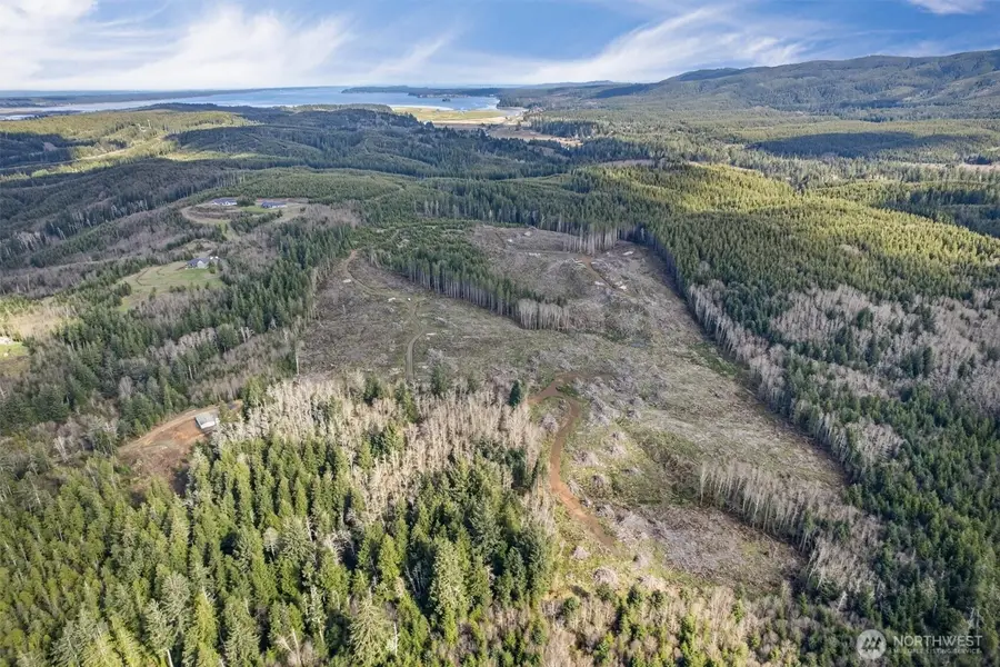 0 Luttrell Lane, Chinook, WA 98614 - #2