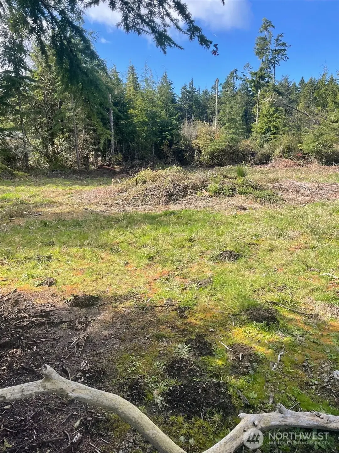 20100 Crane Place #3, Ocean Park, WA 98640 - #1