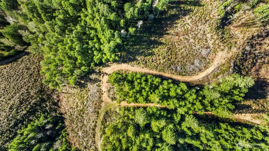 4400 NE Hurd Road, Belfair, WA 98528 - #2