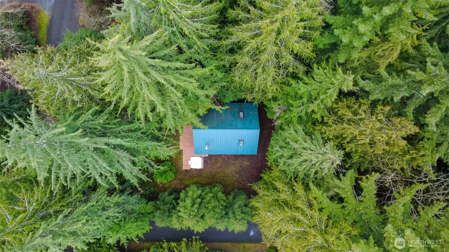 13008 Welcome Road, Deming, WA 98244 - #3