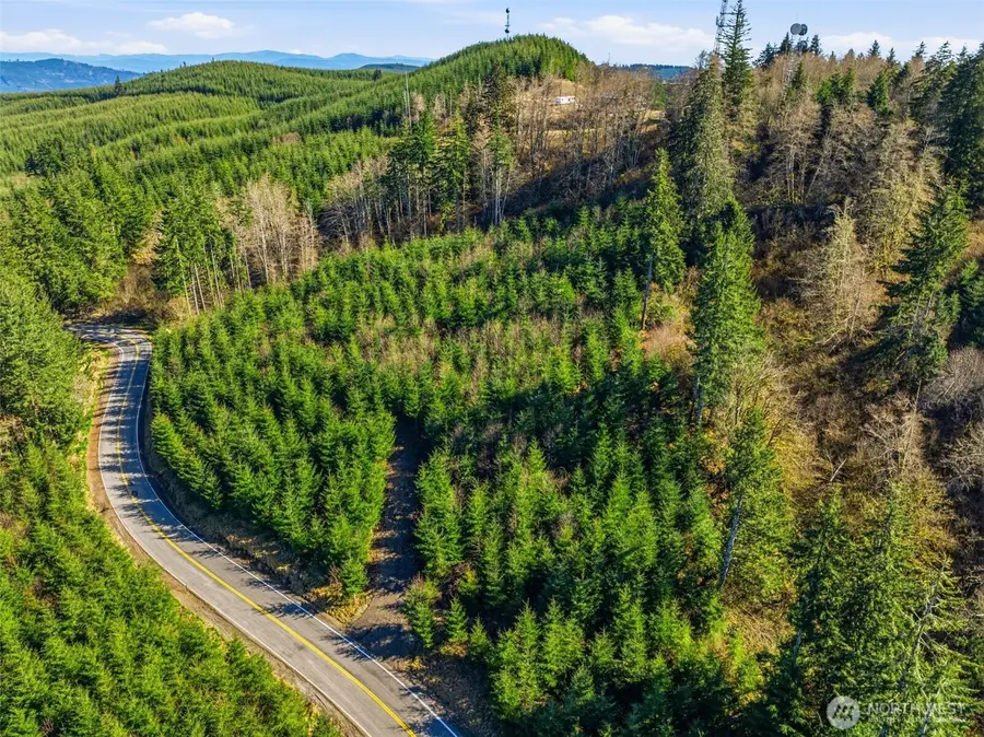 0 China Garden Road, Kalama, WA 98625 - #3