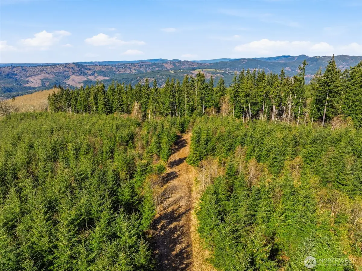 1 China Garden Road, Kalama, WA 98625 - #1