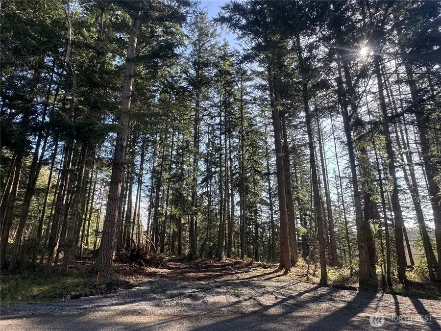 396 Durr Road, Camano Island, WA 98282 - #3