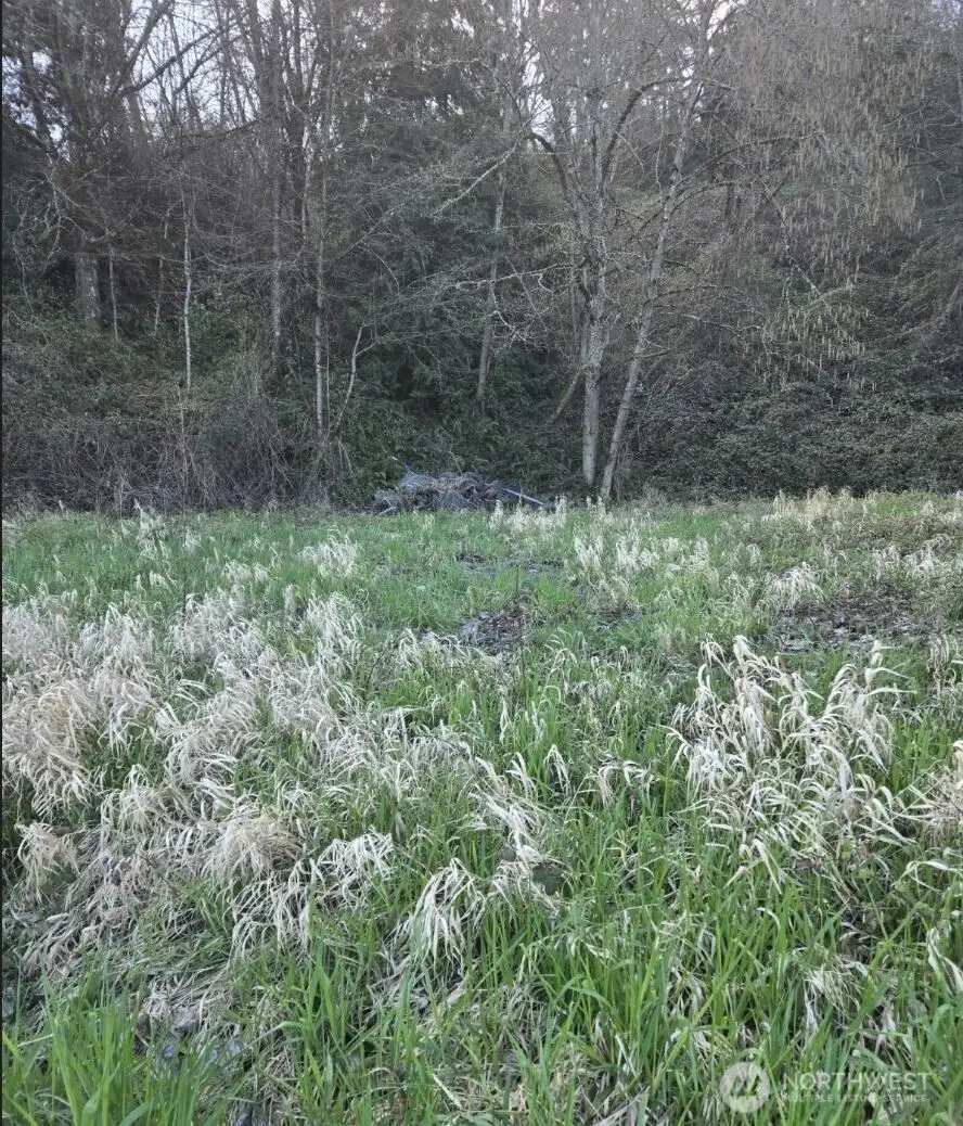 2210 W Valley Highway E, Edgewood, WA 98372 - #3