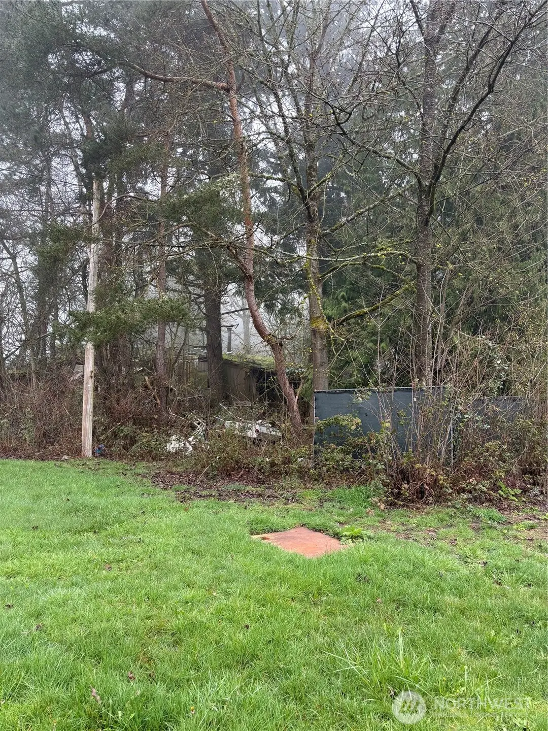 3312 13th St Sw, Puyallup, WA 98373 - #1