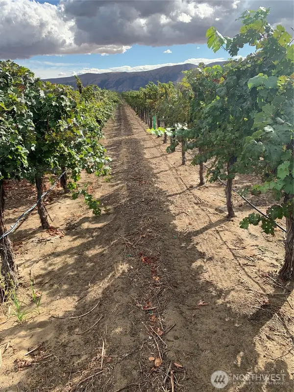 0 Rd 27 Sw, Mattawa, WA 99349